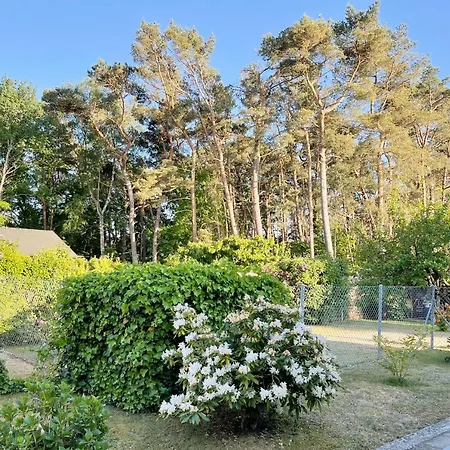 Bergstrasse 3 1 * Loddin